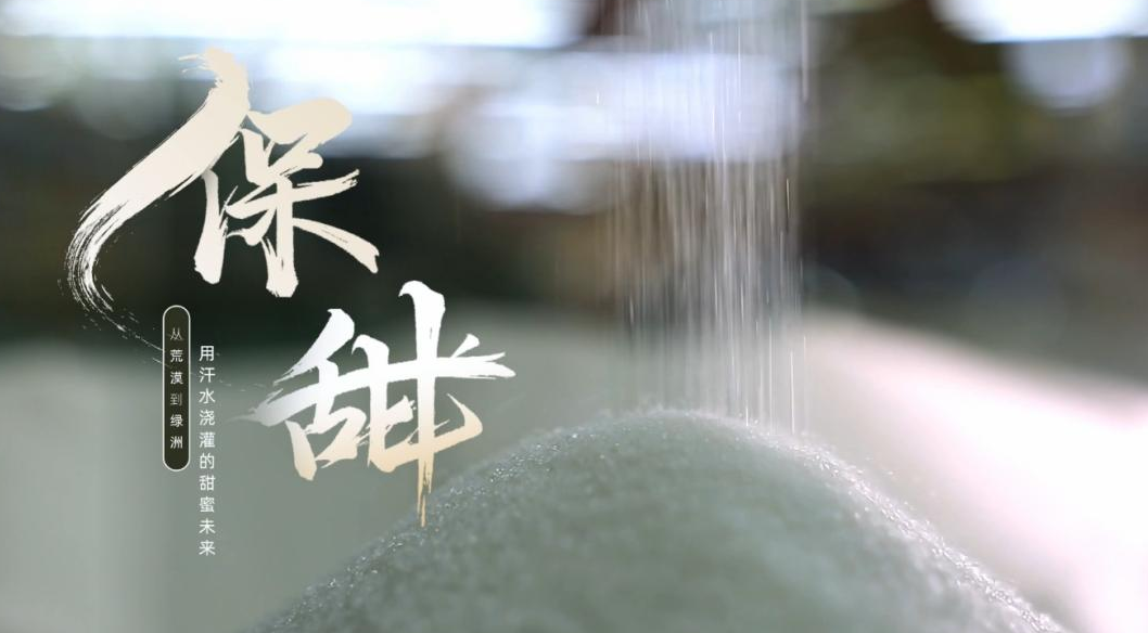 腾博会官网新闻